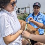 Fur-reflect: Outreach activity organised by the BESC NSS Unit in collaboration with Furrfolks